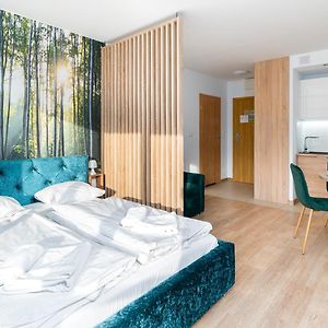 Apartament typu studio